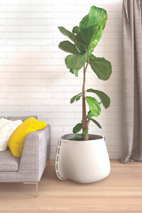 Blinde Design Stitch 75Concrete Planter - Bone Finish - BLD.1.P.STI.75.Y.BO